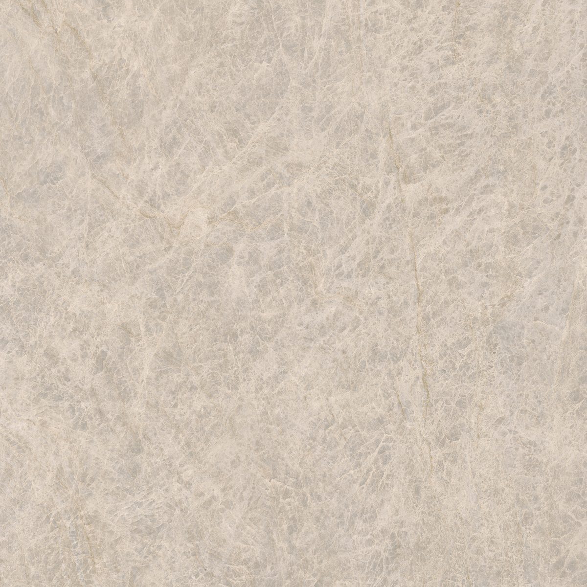 Elegant Marble — Taj Mahal Pure