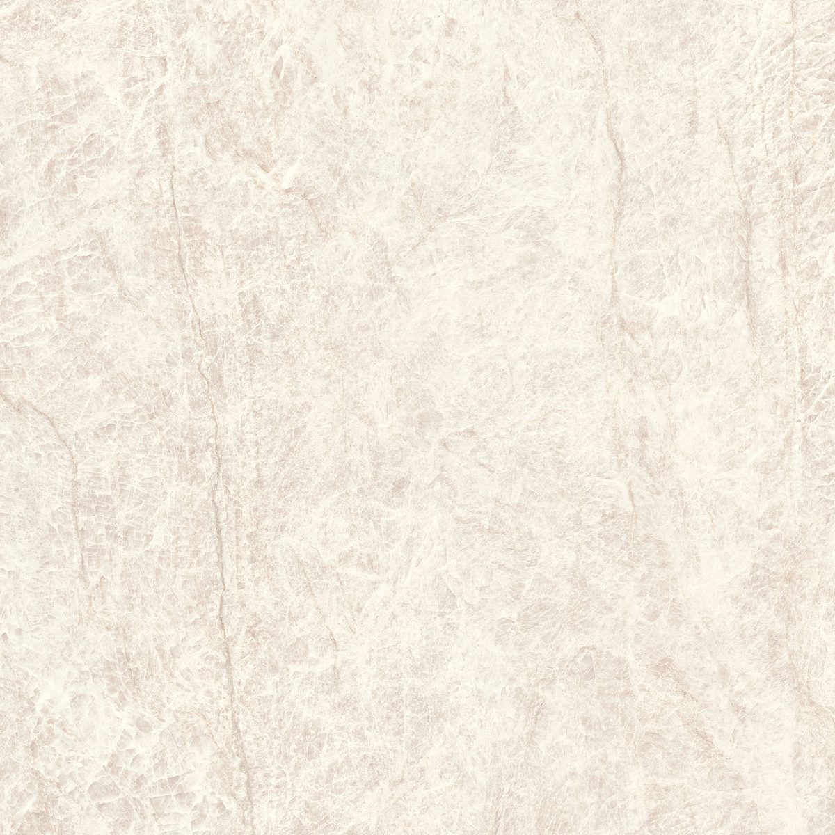 Elegant Marble — Taj Mahal White